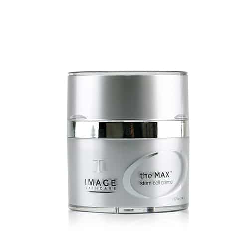THE MAX Stem Cell Crème (48gr)